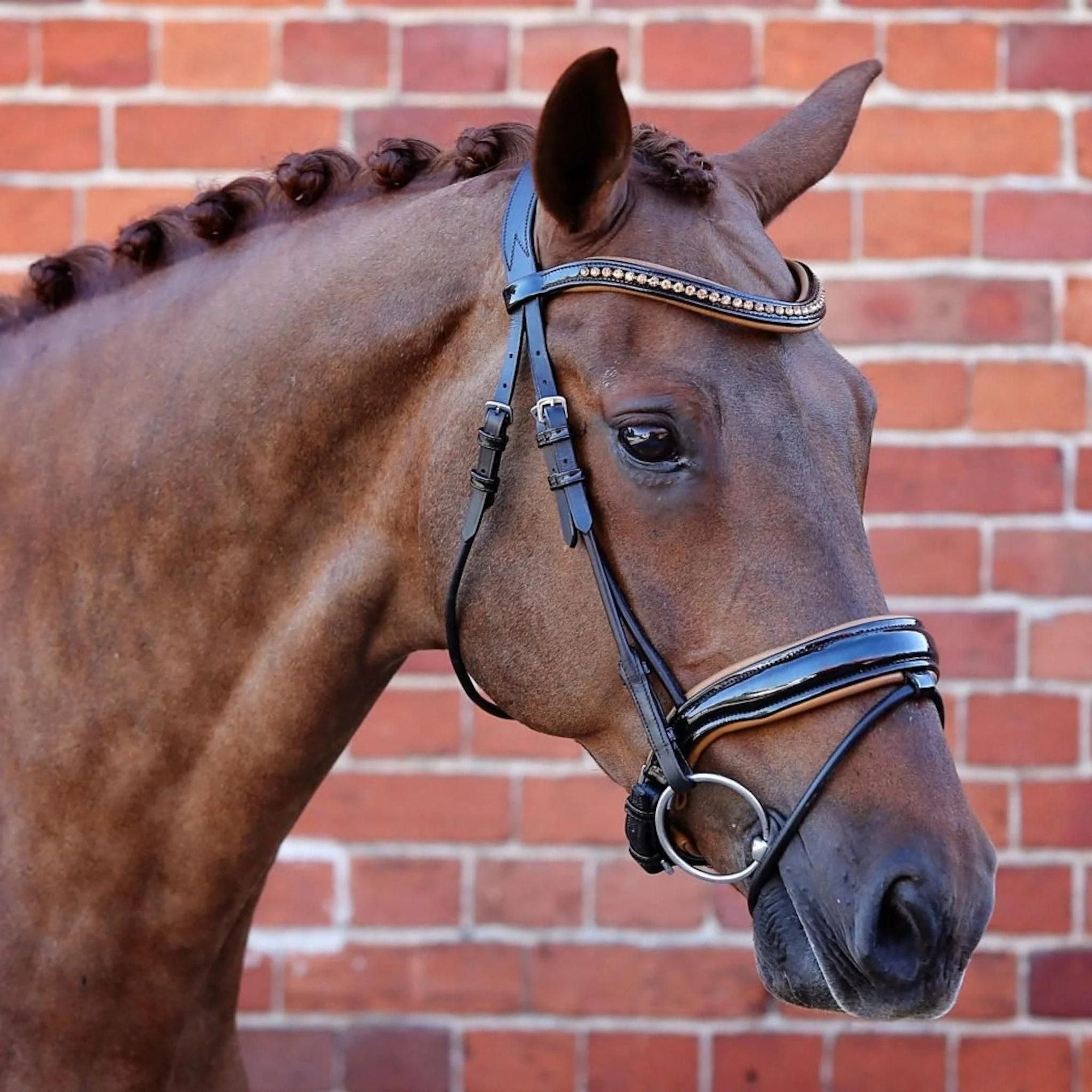 Liver chestnut horse wearing a bell equestrian bridle