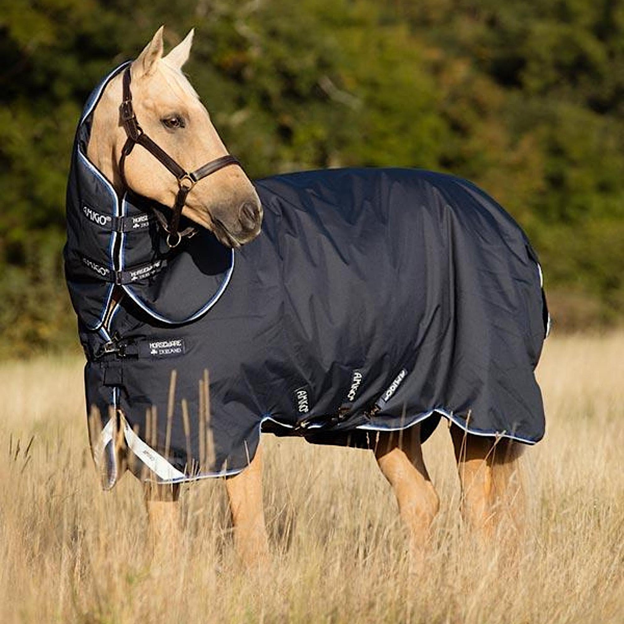 Navy waterproof horse rug that fits well.
