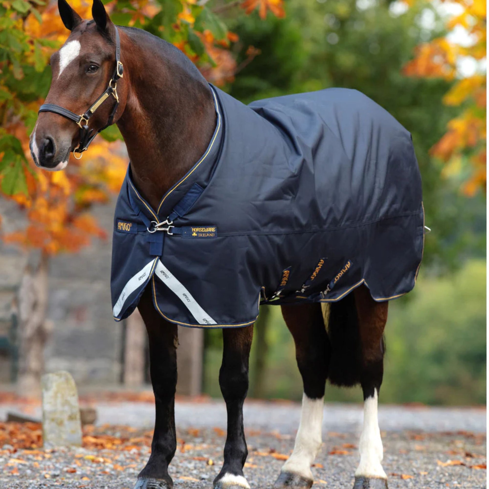 Navy horse rug with reflective strips and orange accents.