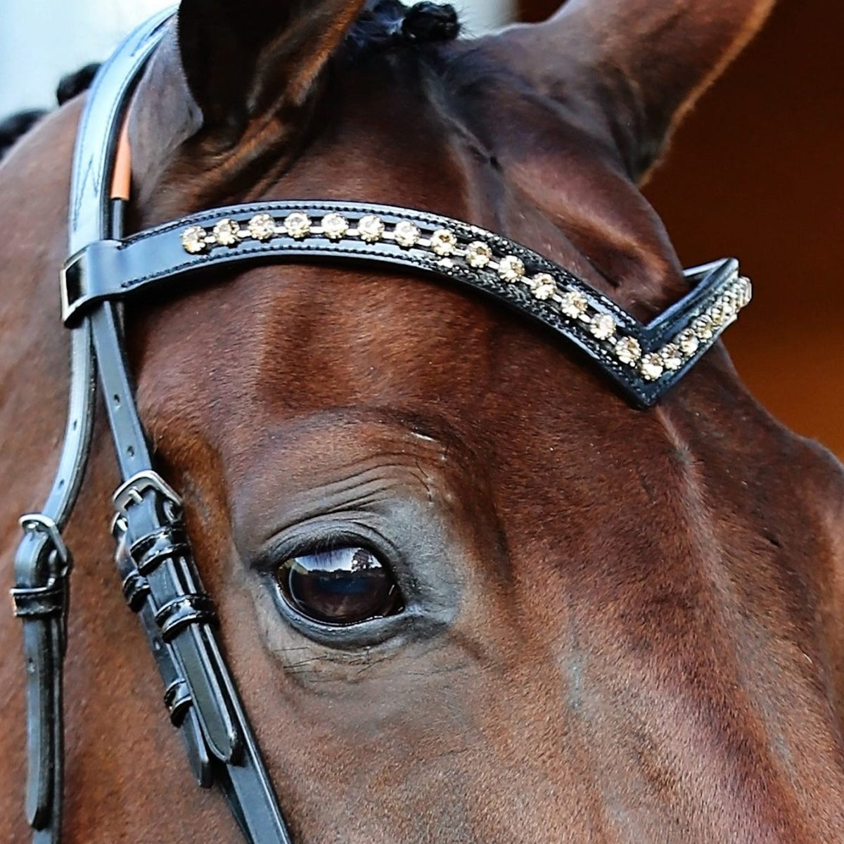 Close up of brow band on horse with row of crystals.