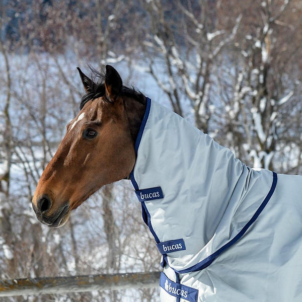 Between Season Rugs The Horse Rug Whisperer