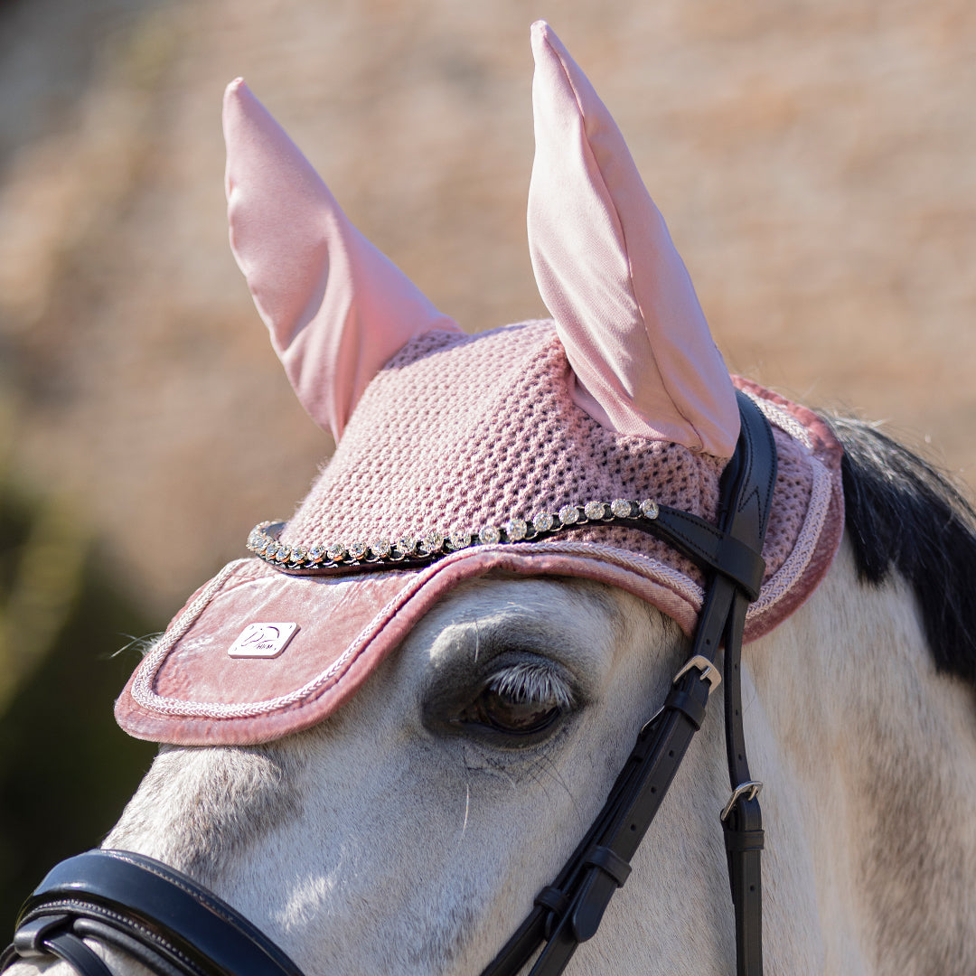 Horse wearing blush coloured velvet ear bonnet.