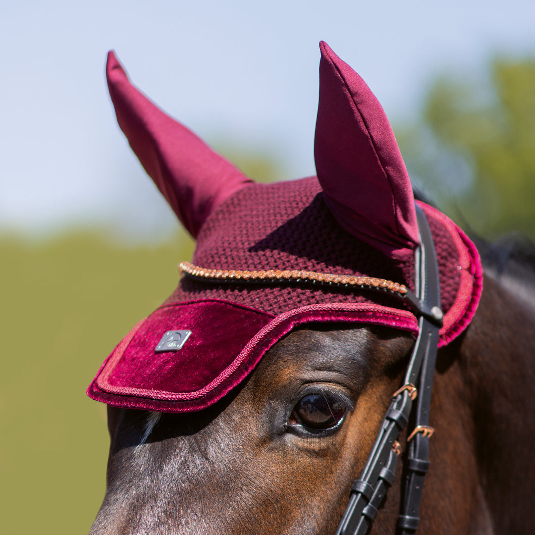 Front view of horse wearing wine red velvet ear bonnet.