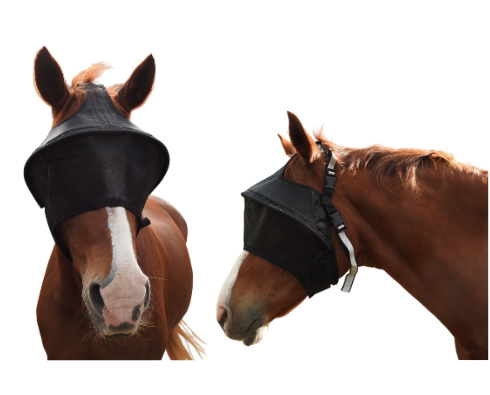 Equivizor-Solar-Veil-The-Horse-Rug-Whisperer