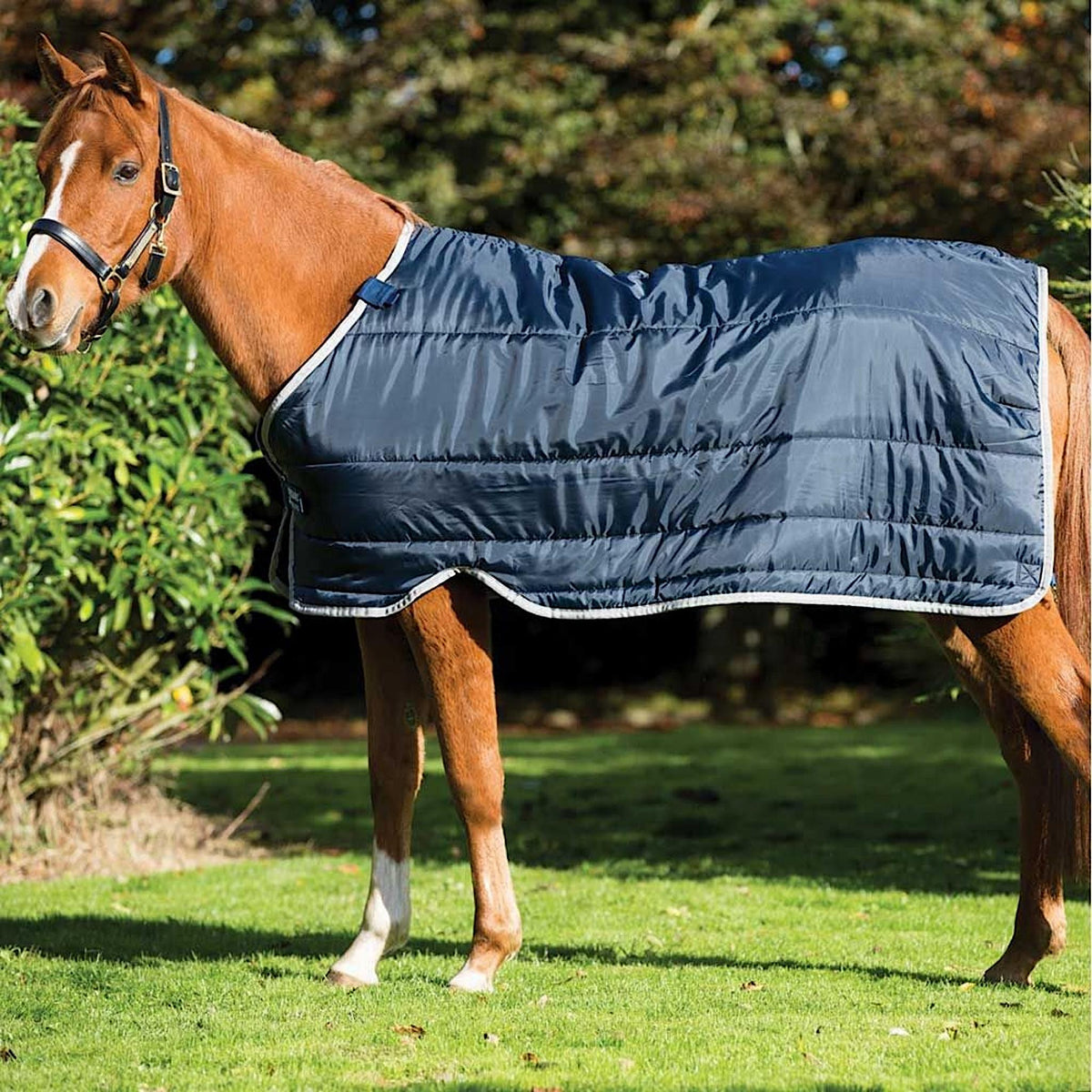 Sideview of horse with winter blue liner rug.