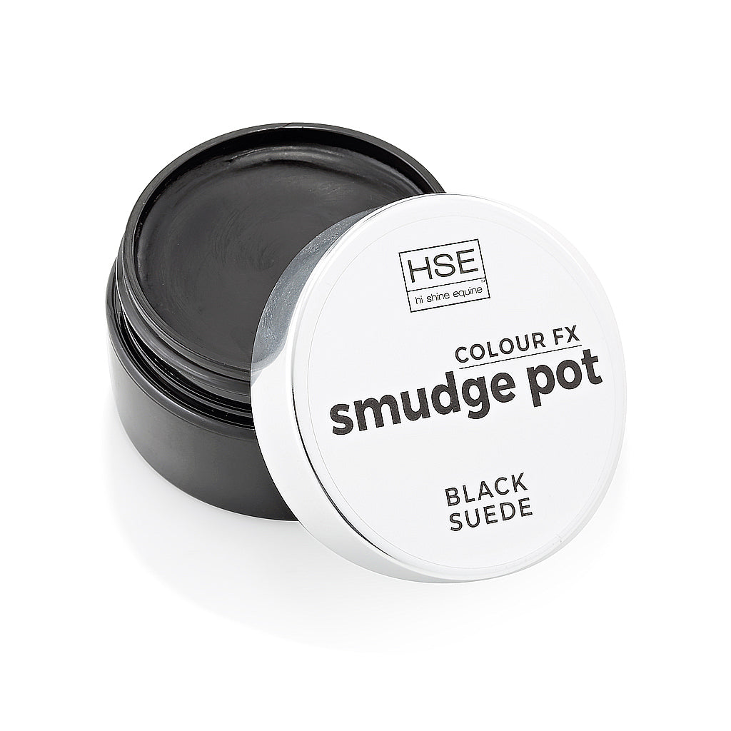 Black pot with silver lid and HSE logo on the lid