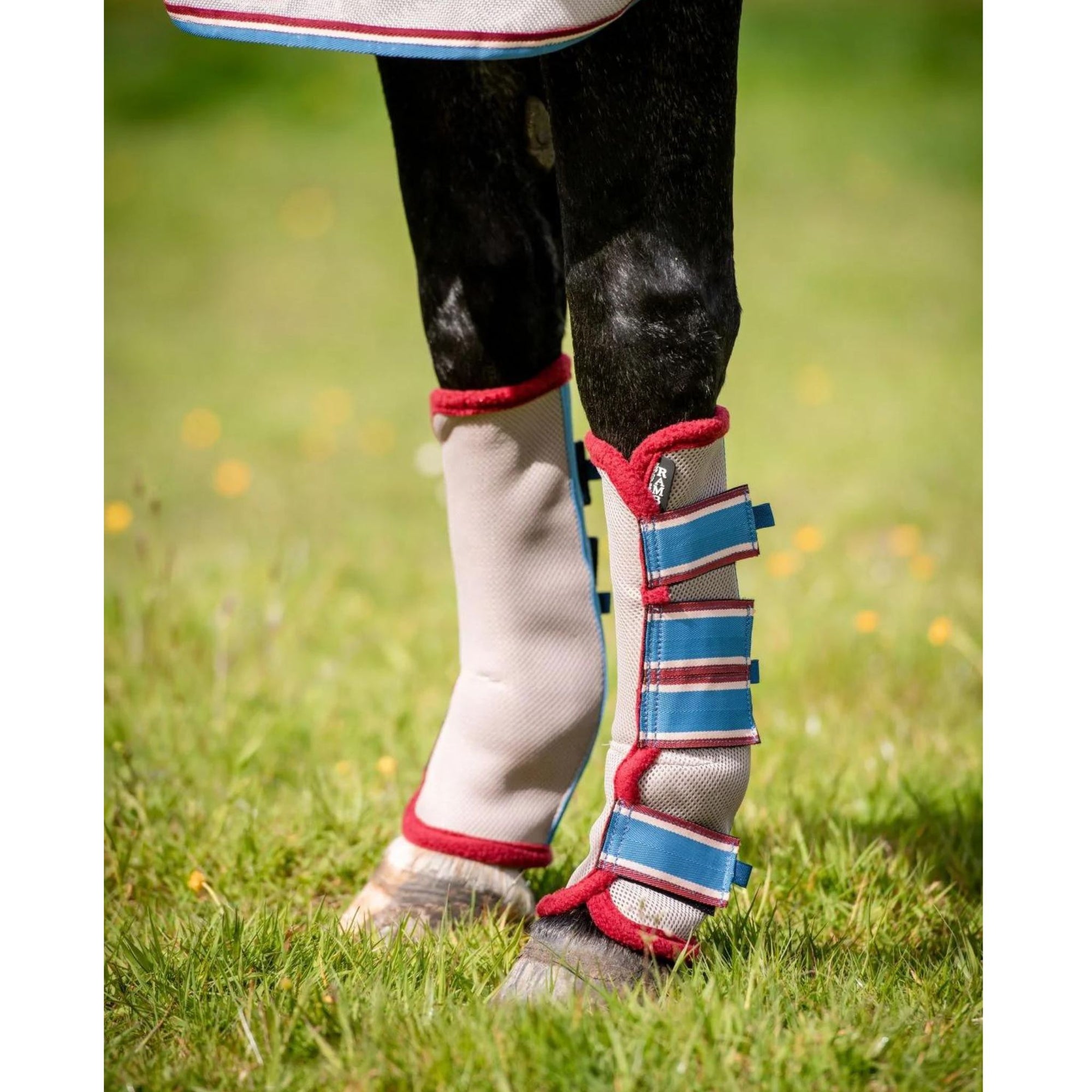 Horse wearing white, red and blue flymesh boots.