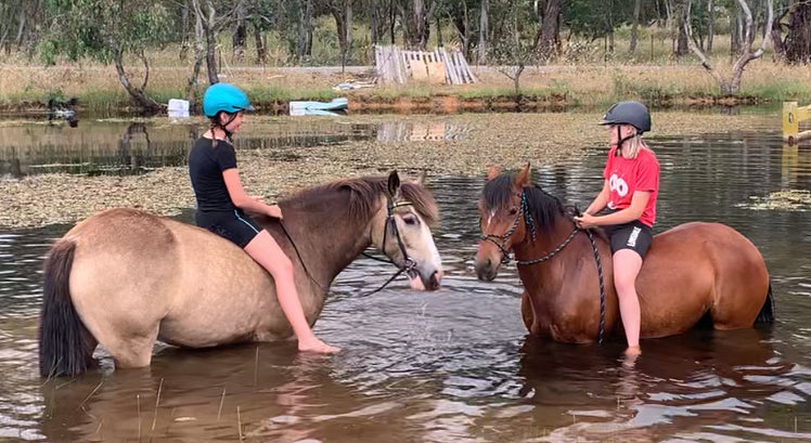 Swimming safely with your Horse