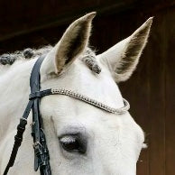 Majesty Browband
