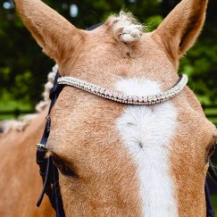 Majesty Browband