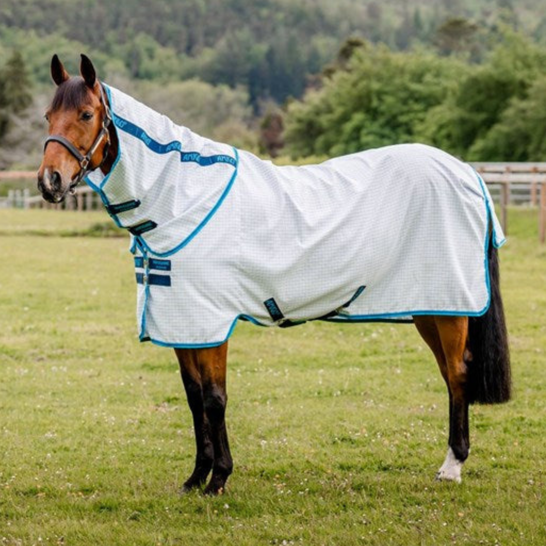 Amig-aussie-allrounder-blue