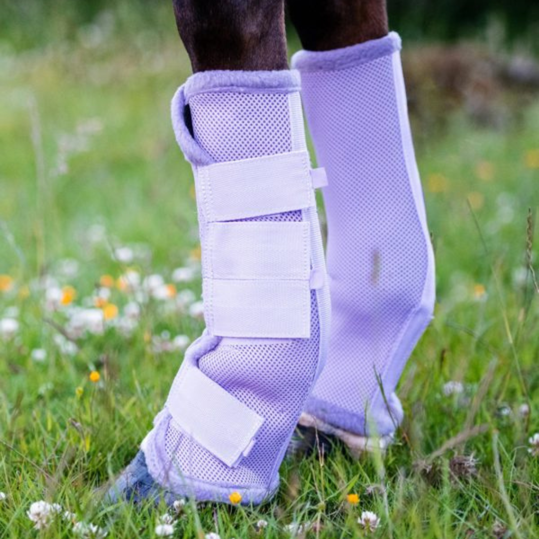 Amigo Flyboots - Lavender