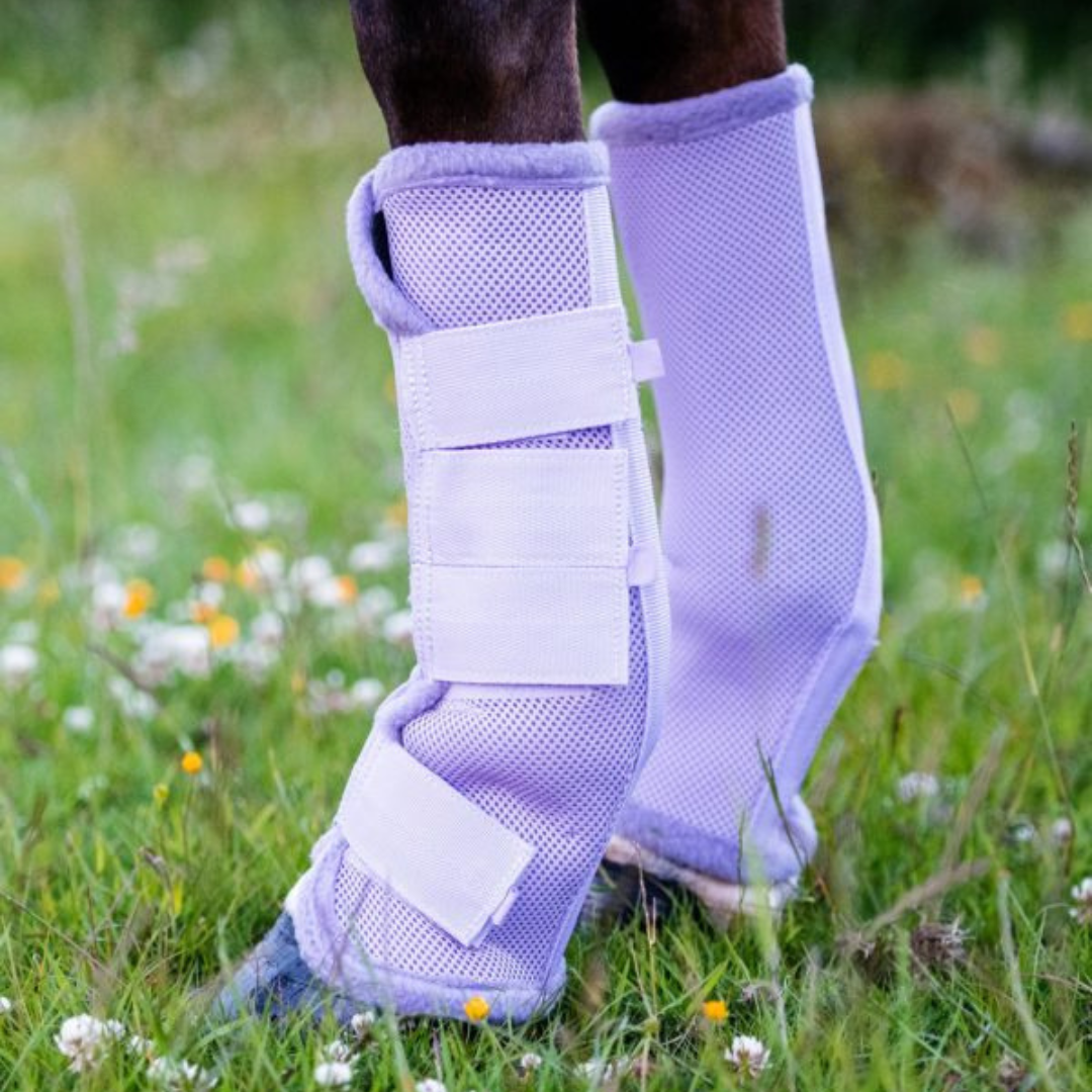 light purple mesh flyboots for horse