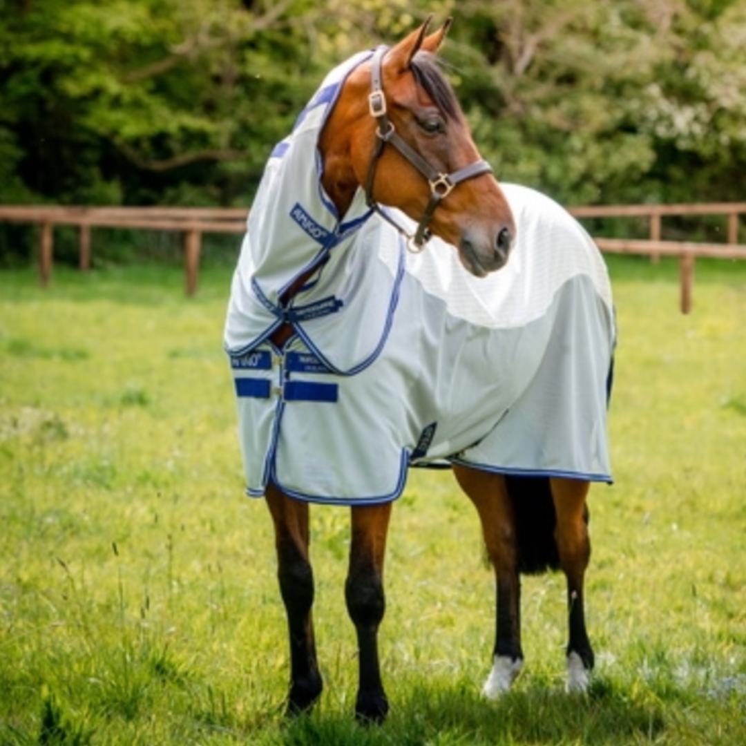horse in hybrid cotton and mesh rug