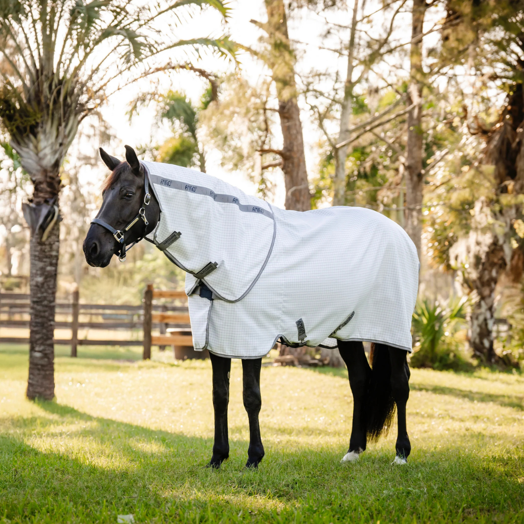 Amigo-summer-sheet