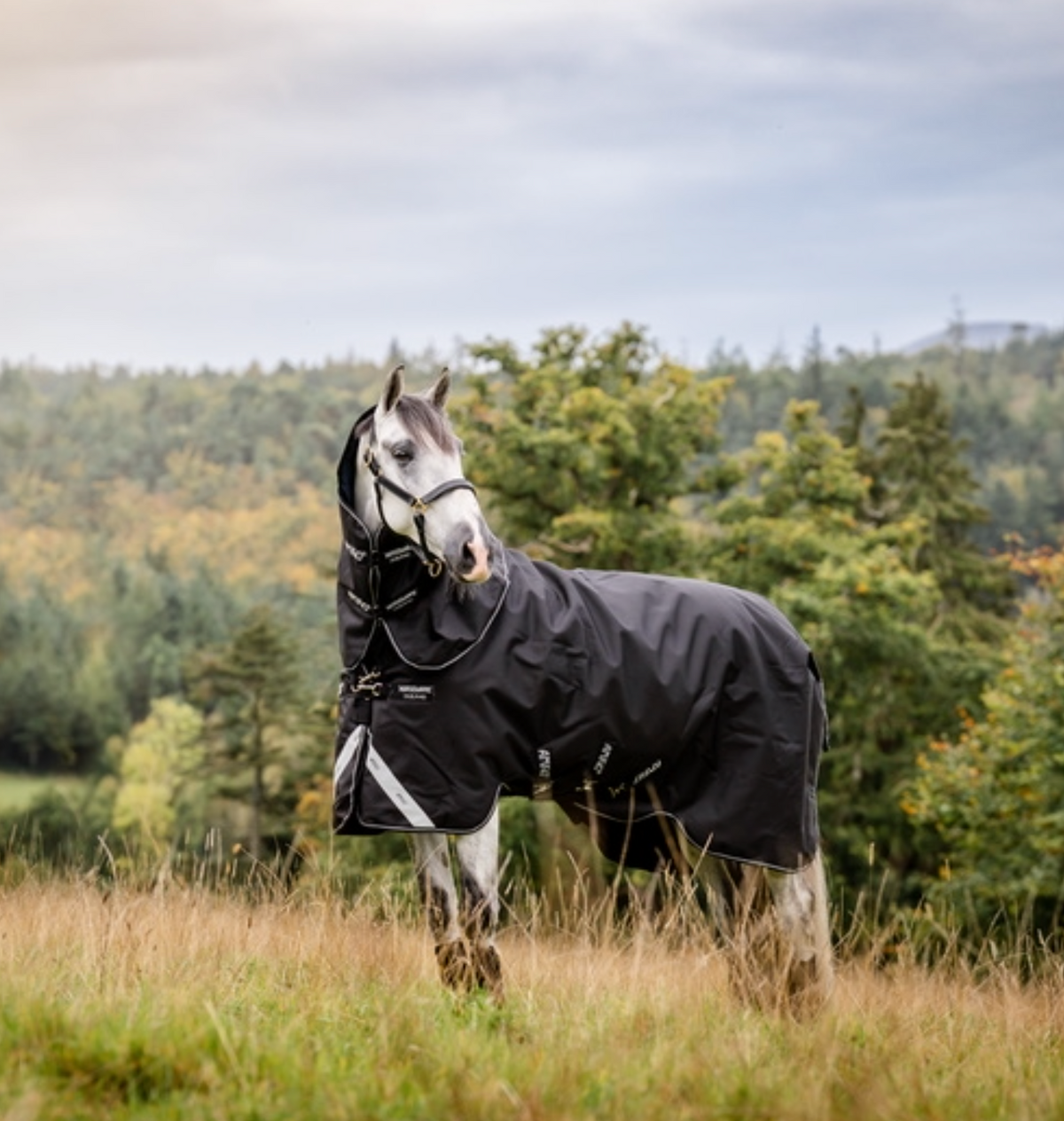 Black winter horse rug with detachable neck.