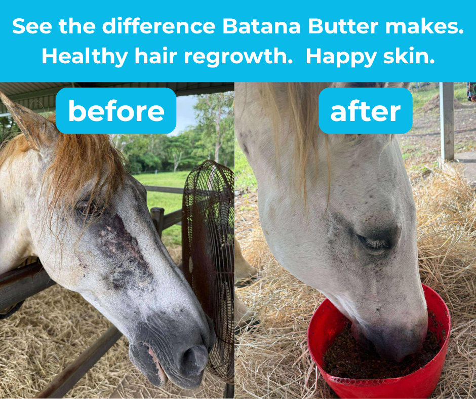 BB-before-and-after