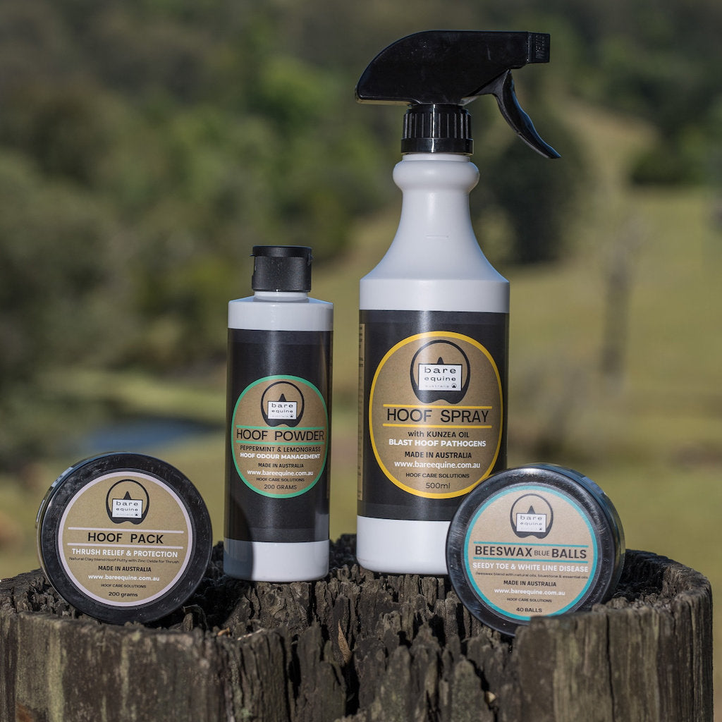 bottles of Bare Equine products on a tree stump