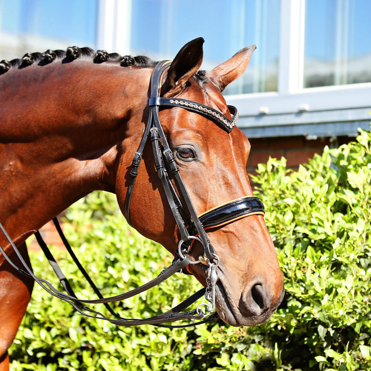 Czarina Bridle