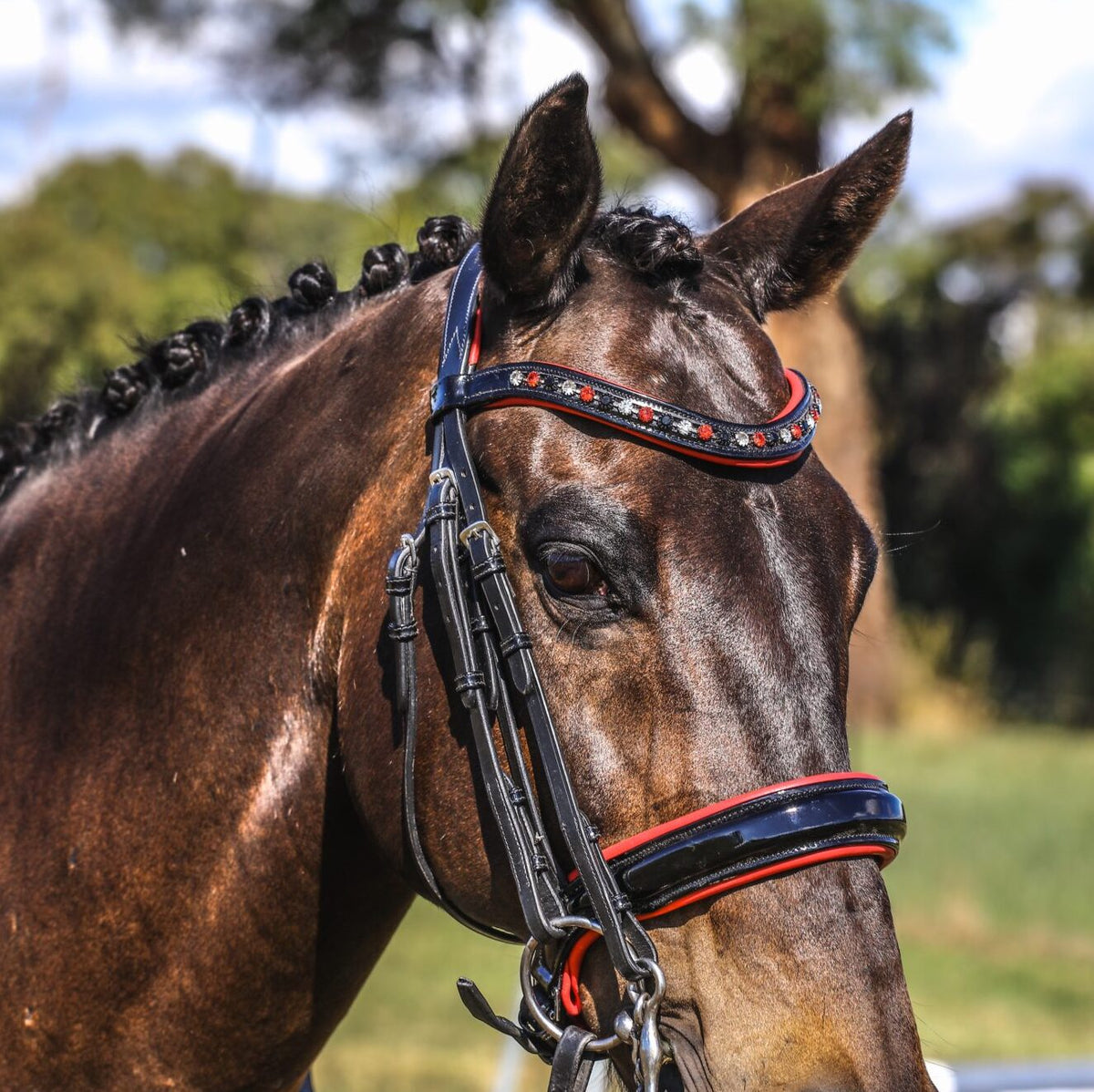 Duke Bridle