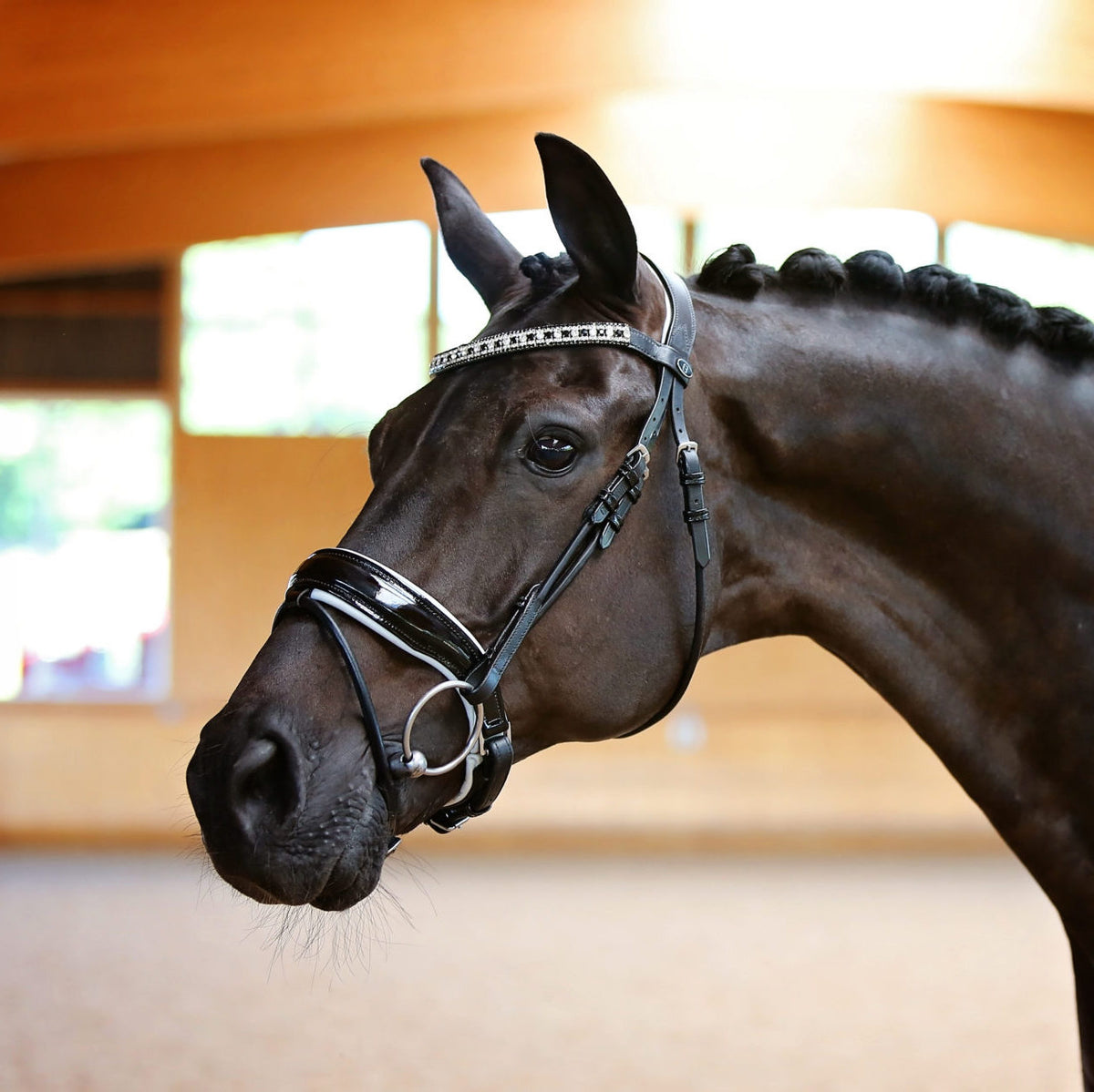 Duchess Bridle