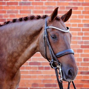 Majesty Bridle