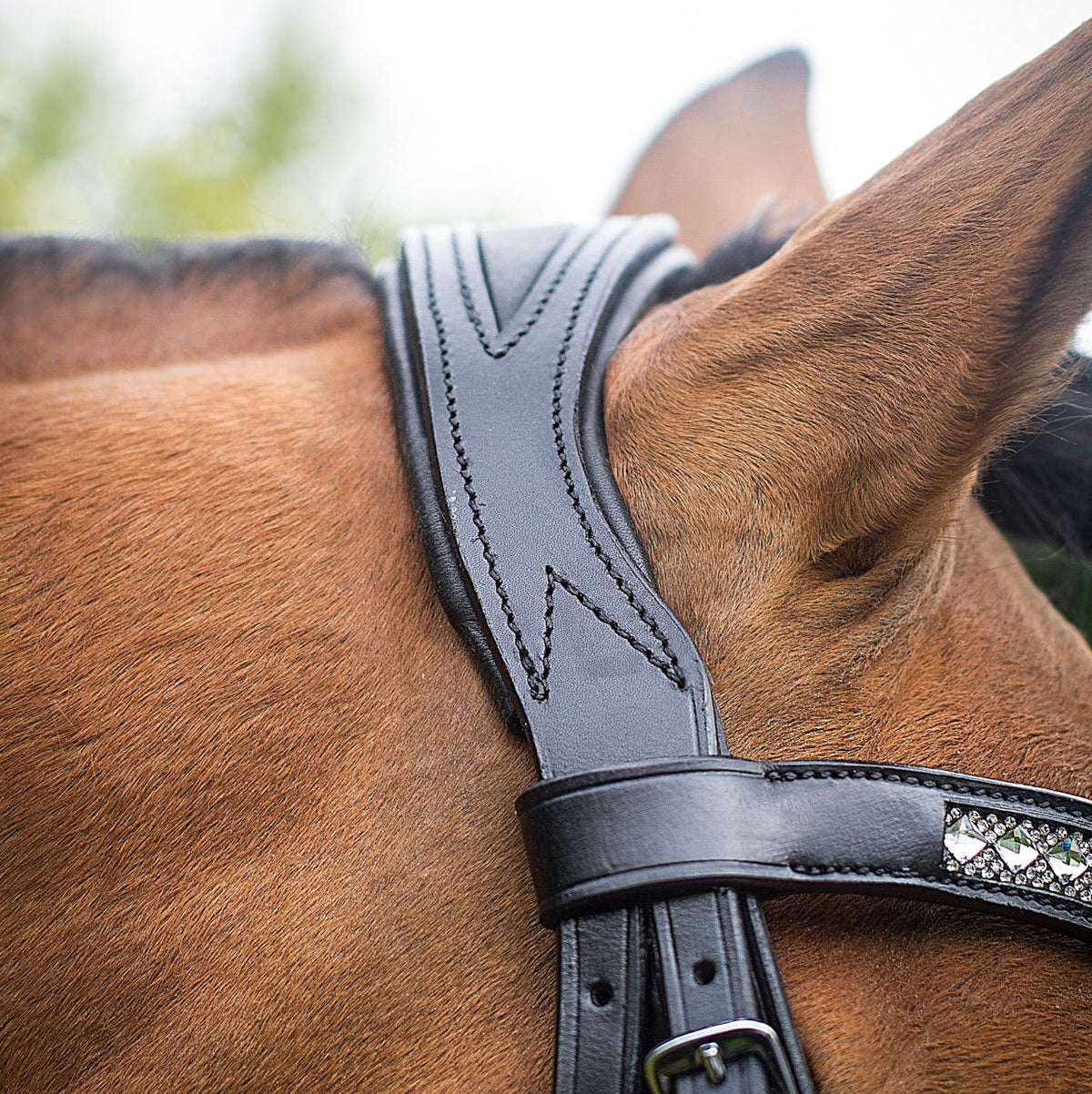 Close up of black leather contour head piece on majesty bridle.