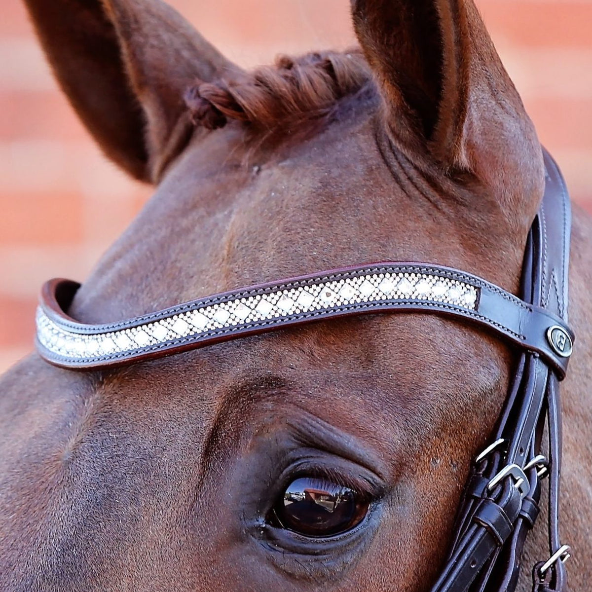 Close up  of majesty bridle brow band, with large and smaller diamantes.