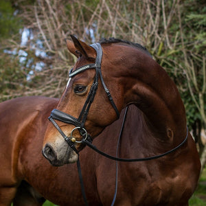 Majesty Bridle