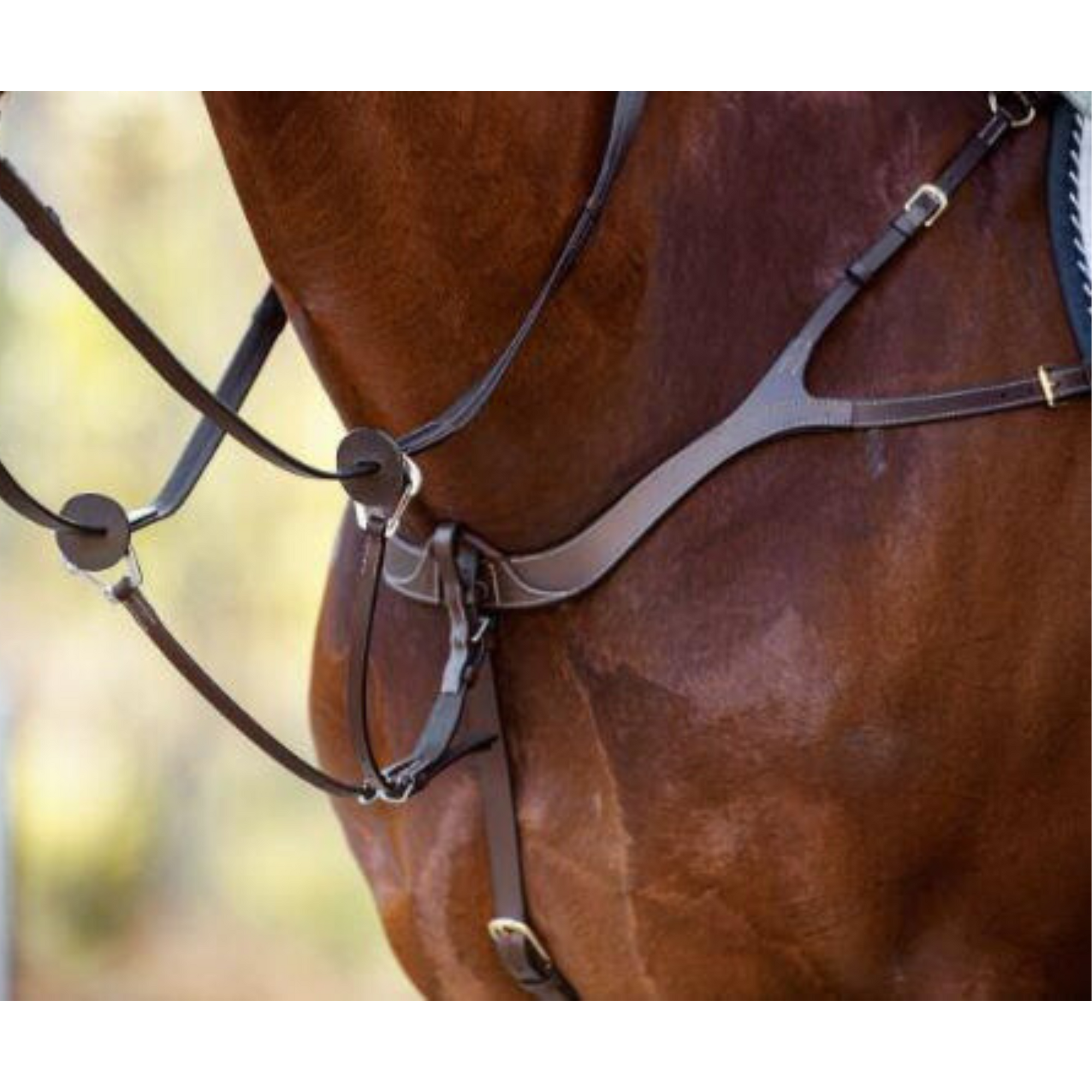 Cavalier-Anatomic-Breastplate-The-Horse-Rug-Whisperer