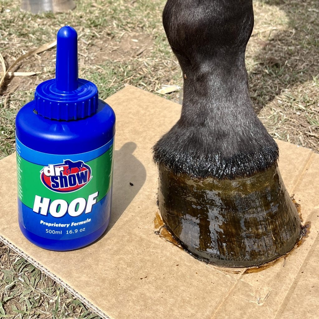 bottle of hoof oil and horse&#39;s hoof