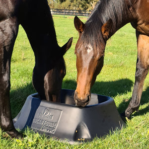 Duncan Equine No Tip Feeder