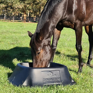 Duncan Equine No Tip Feeder