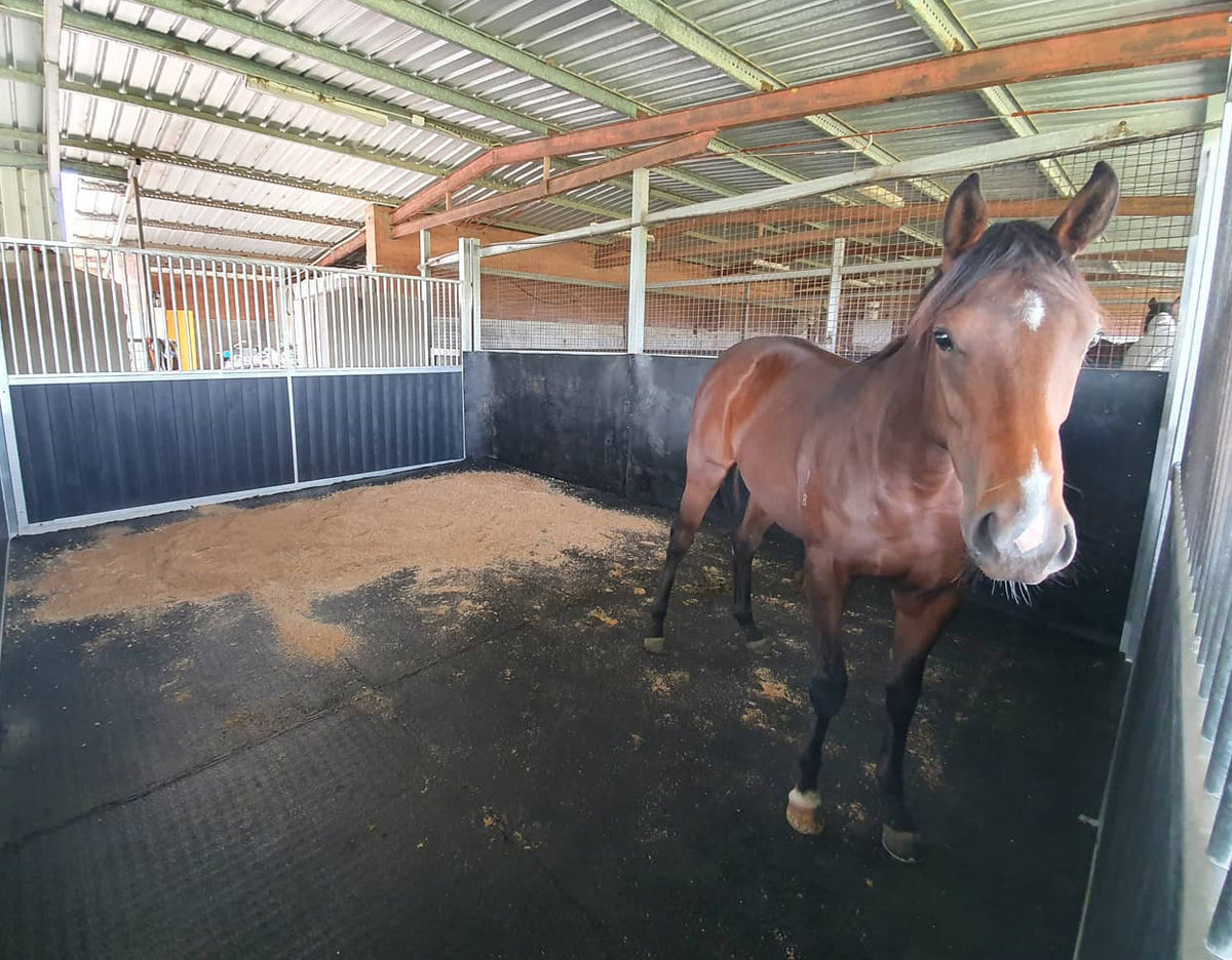 Duncan Equine Rubber Walkway Mat