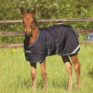 Amigo Foal Rug