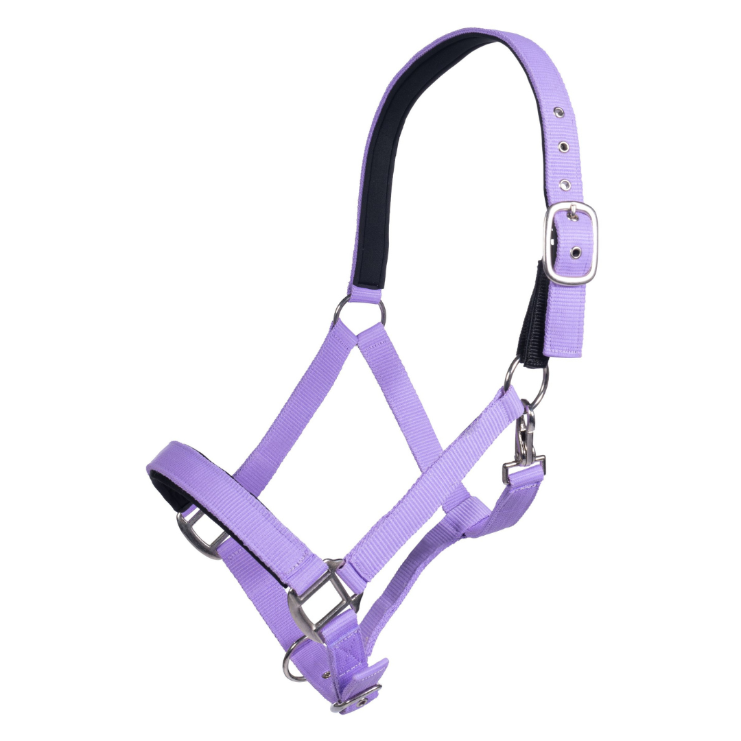 Breakaway Headcollar