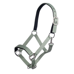 Breakaway Headcollar