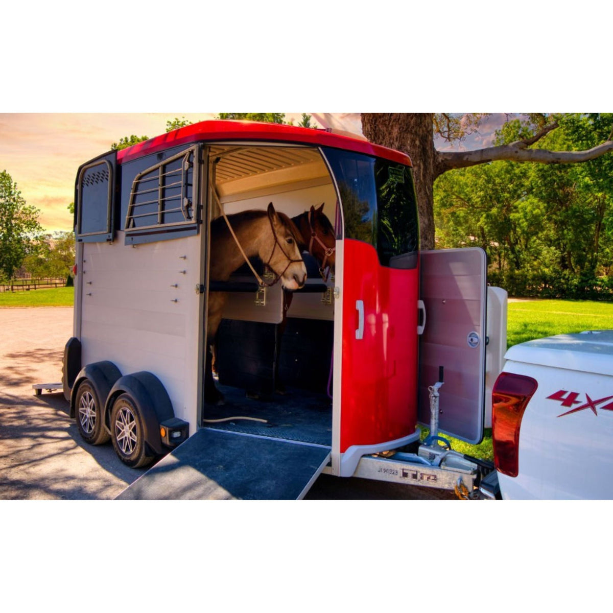 Horse Float Hire - The Horse Rug Whisperer