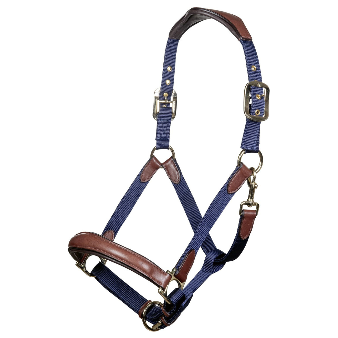 Luna Leather and Webbing Halter