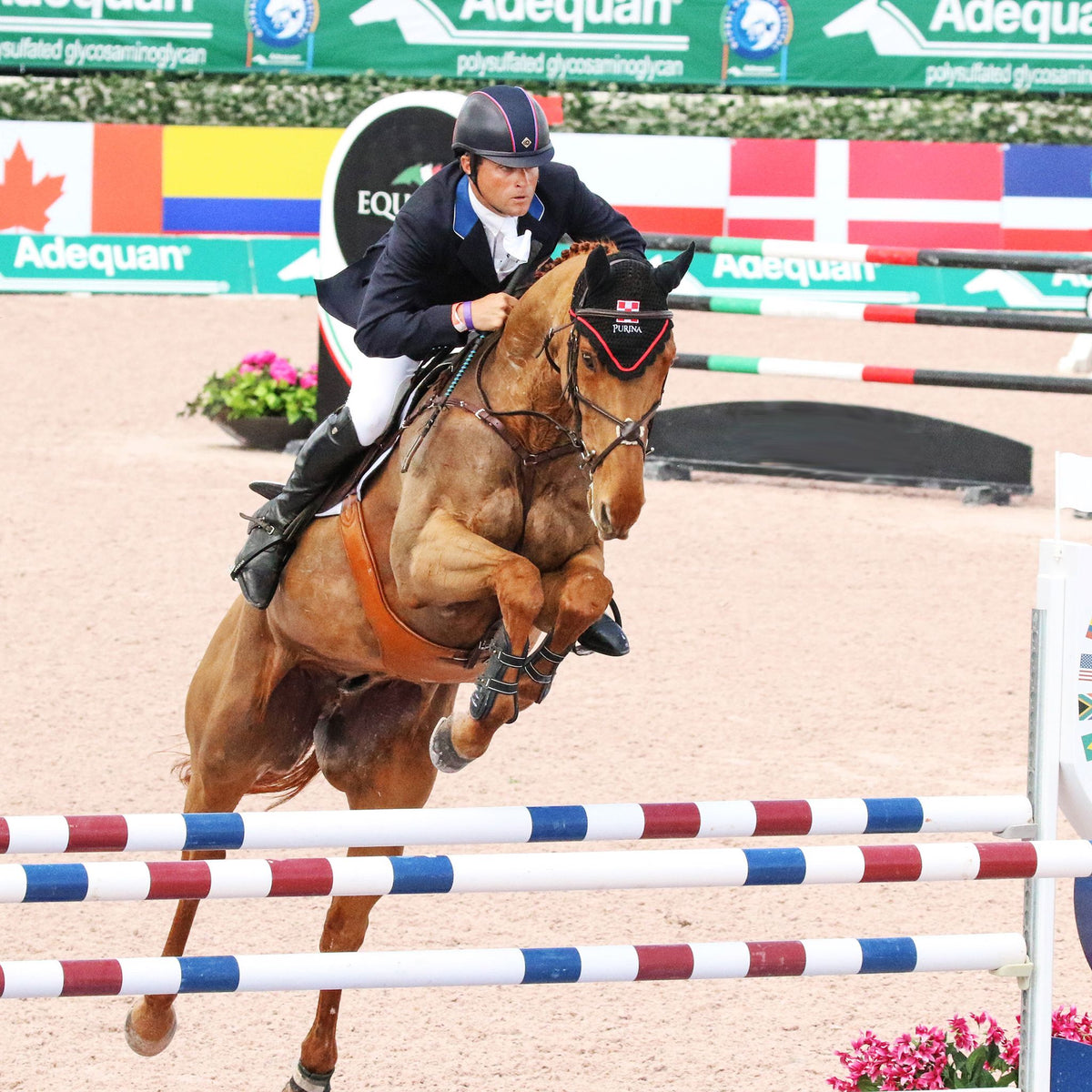 Boyd Martin Hyperflex Snap Close Tendon Jump Boots