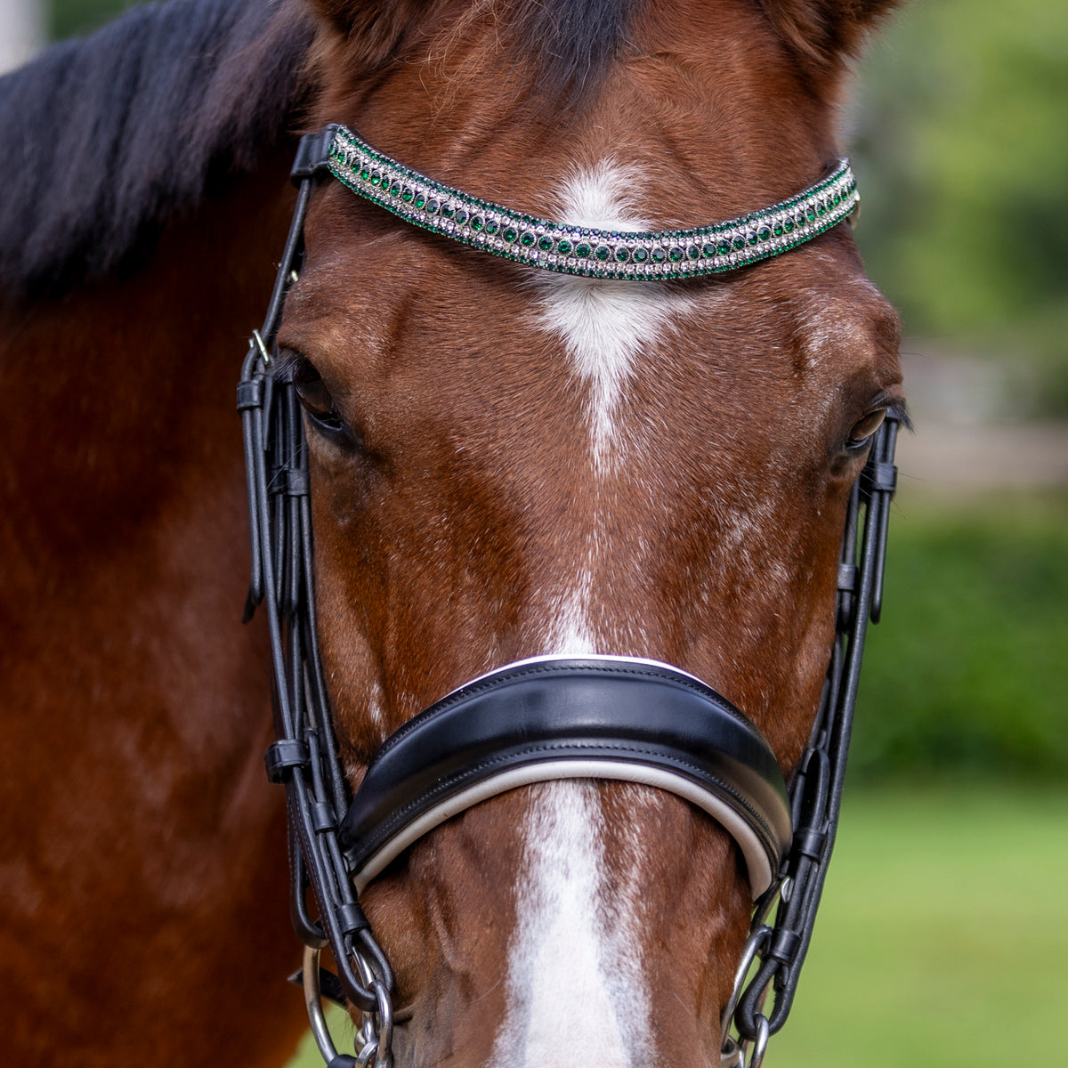 Mayfair browbands on bay horse
