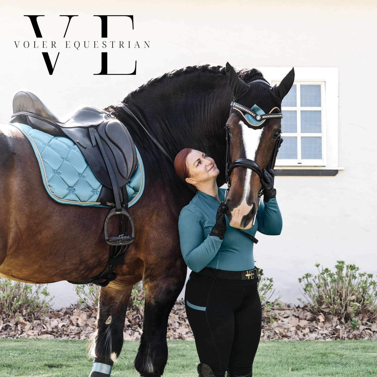 lady with beautiful large horse wearing matching blue set