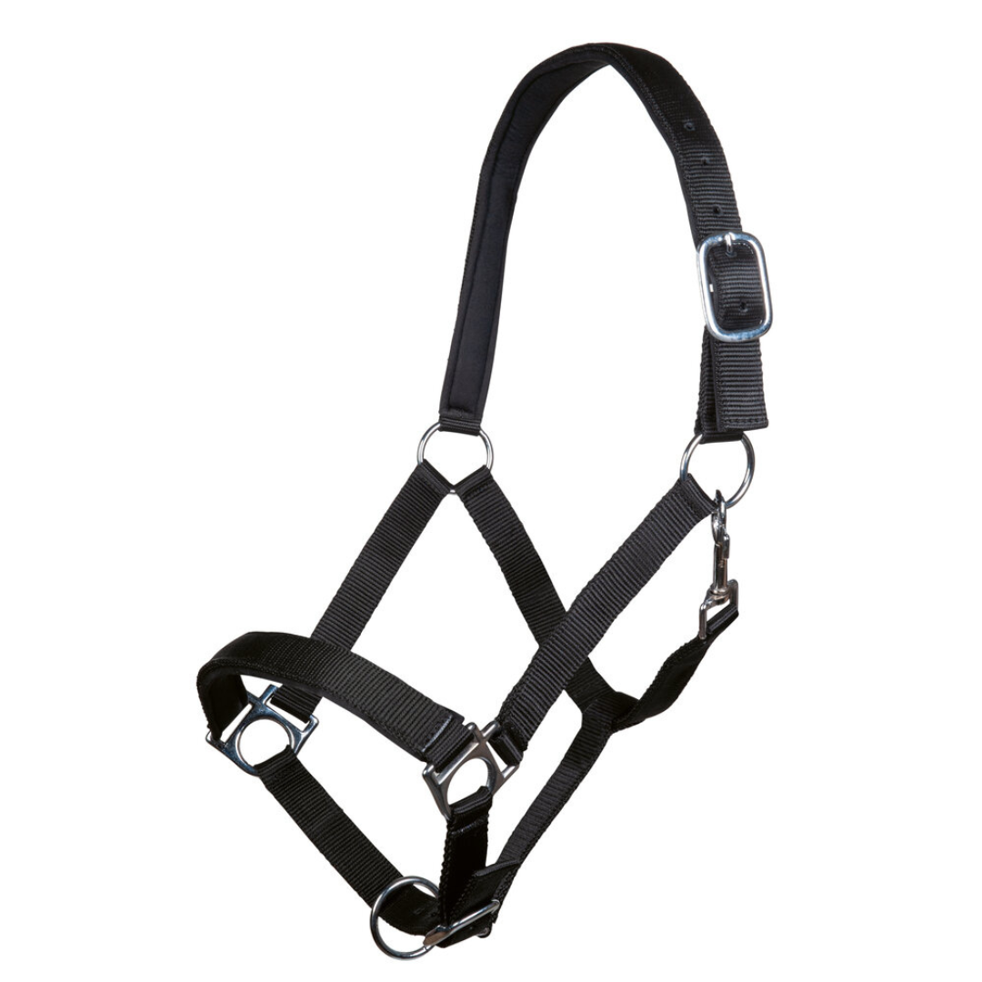 Padded-Warmblood-Halter