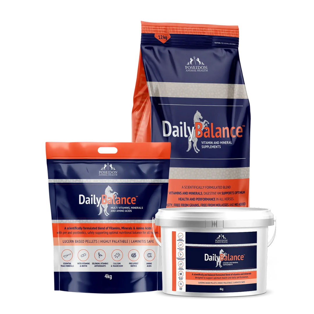 Poseidon-equine-daily-balance