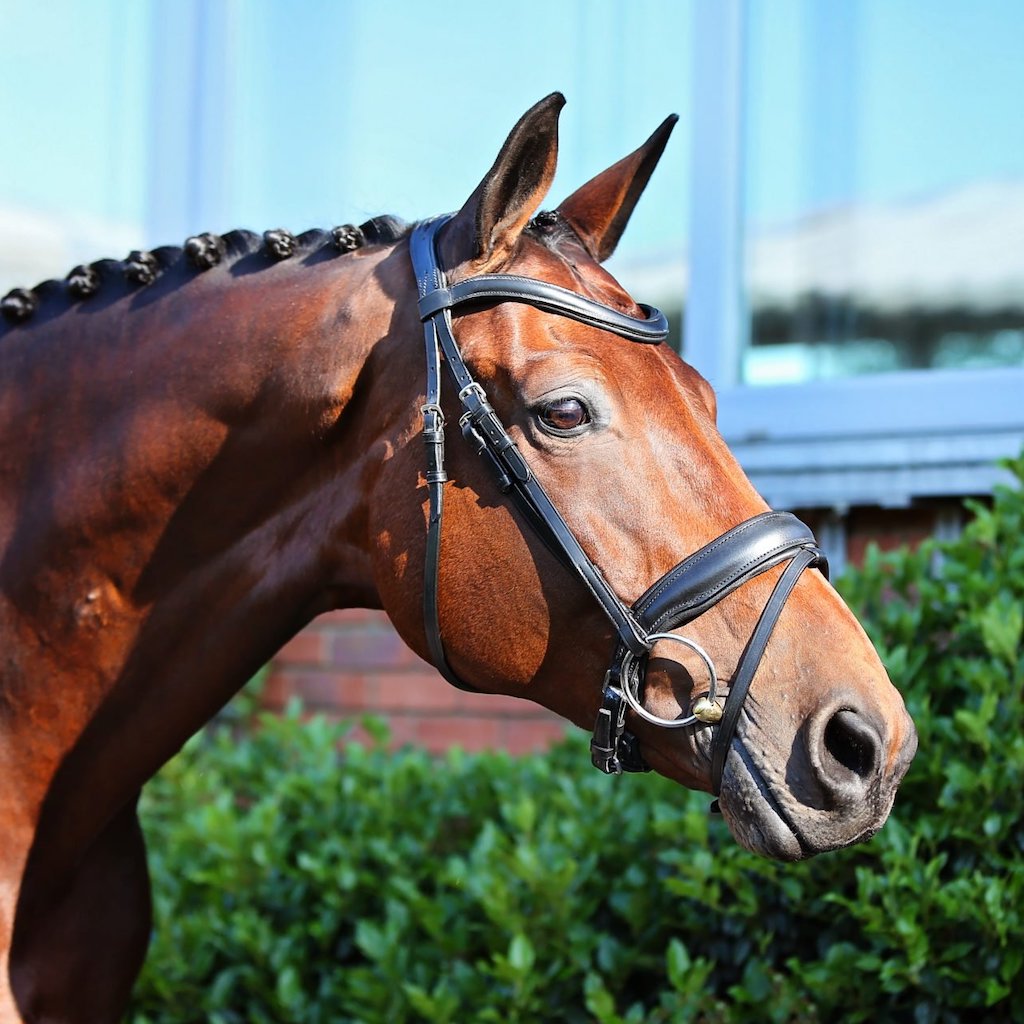 Prince-Bridle-Snaffle-black