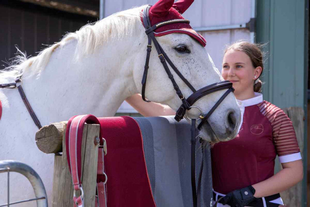 Equestrian shop with beautiful brands for horse and rider