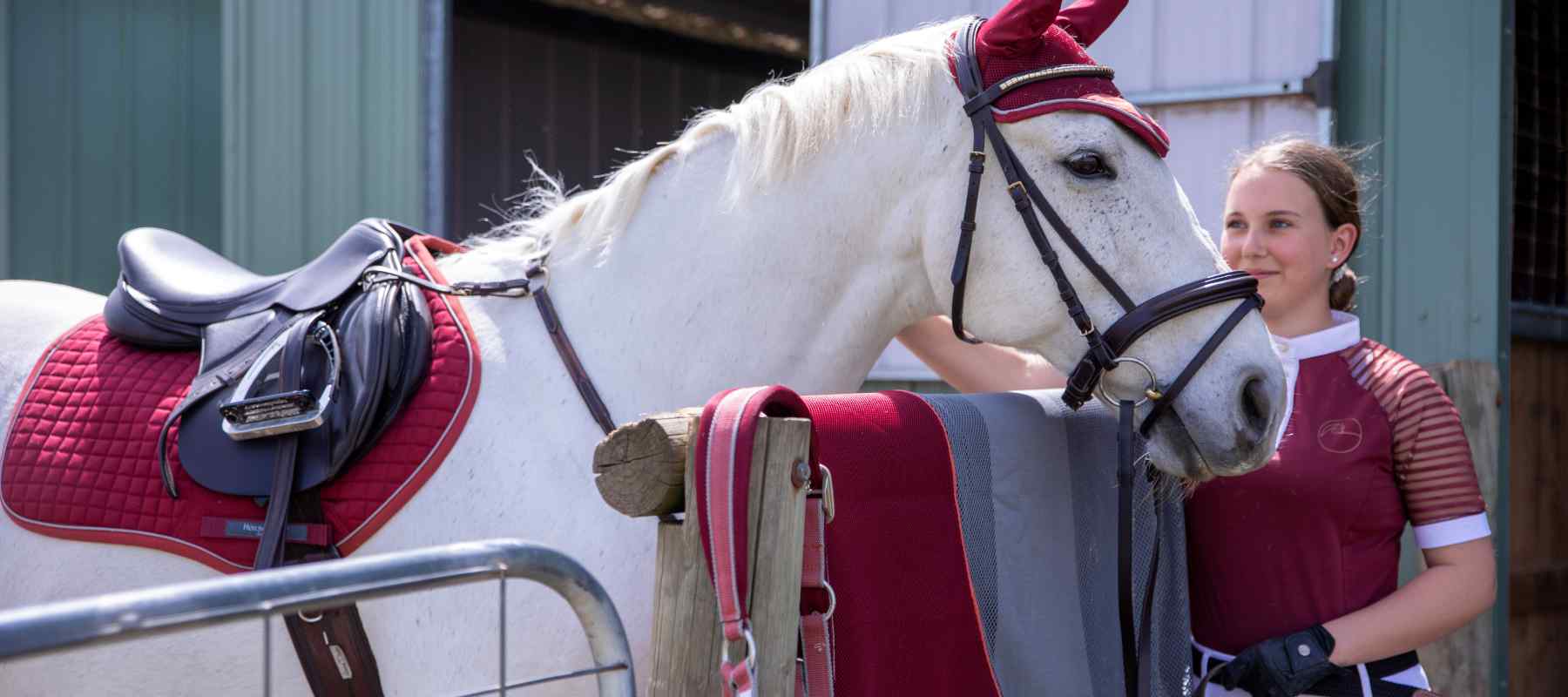 The Horse Rug Whisperer Horse, Stable and Rider