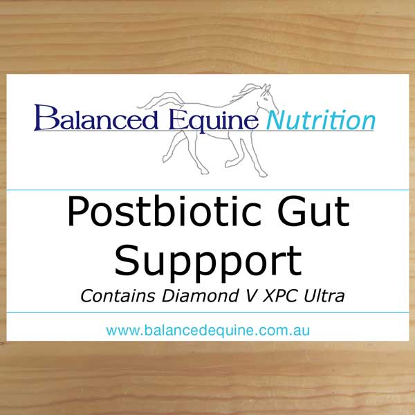 Post Biotic Gut Support