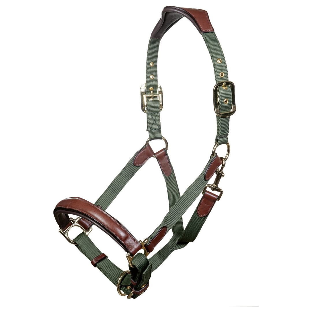 Luna Leather and Webbing Halter