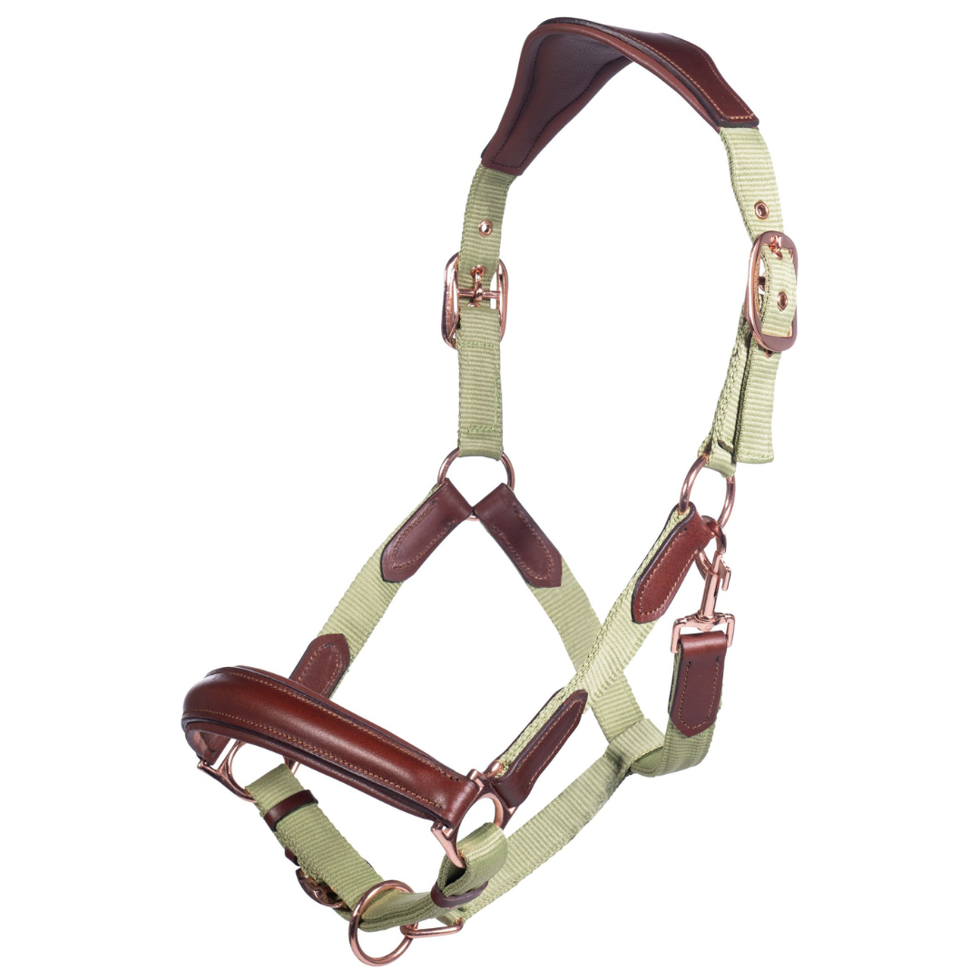 Luna Leather and Webbing Halter